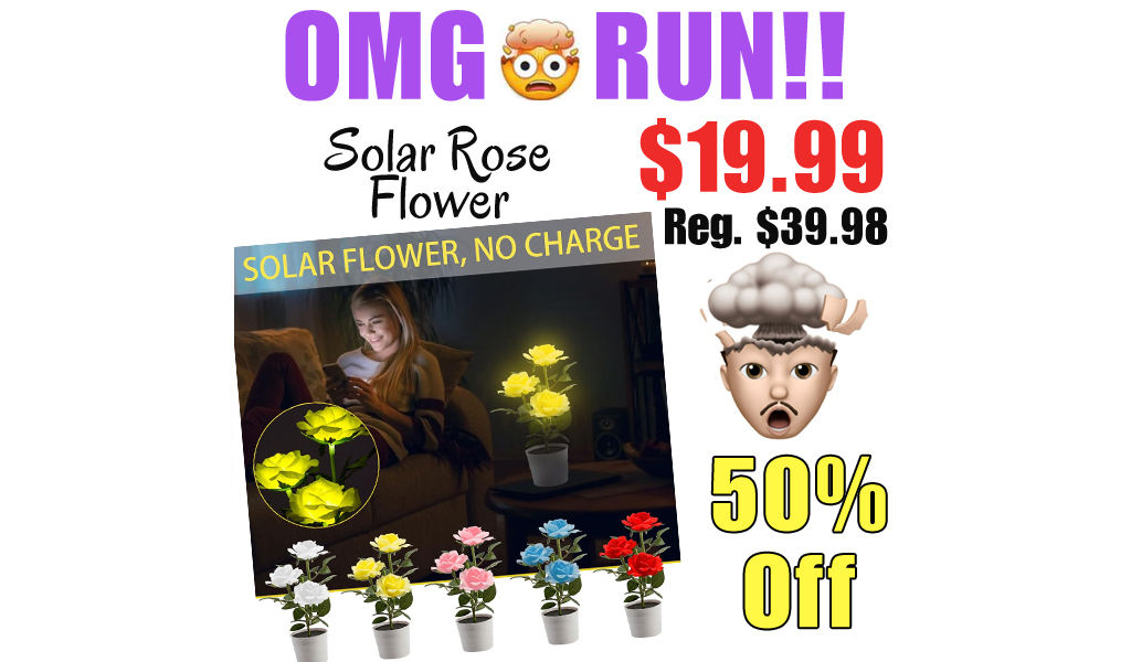 Solar Rose Flower Only $19.99 Shipped on Amazon (Regularly $39.98)