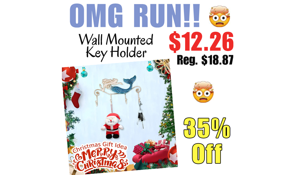 Wall Mounted Key Holder Only $12.26 Shipped on Amazon (Regularly $18.87)