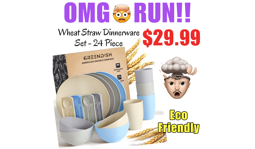 Wheat Straw Dinnerware Set - 24 Piece Only $29.99 Shipped on Amazon