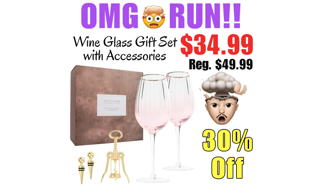 Wine Glass Gift Set with Accessories Only $34.99 Shipped on Amazon (Regularly $49.99)