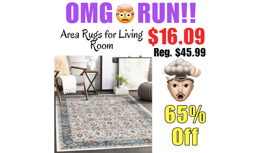 Area Rugs for Living Room Only $16.09 Shipped on Amazon (Regularly $45.99)