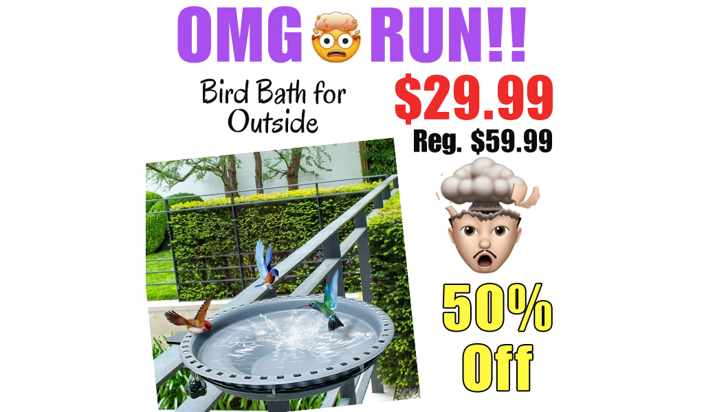 Bird Bath for Outside Only $29.99 Shipped on Amazon (Regularly $59.99)