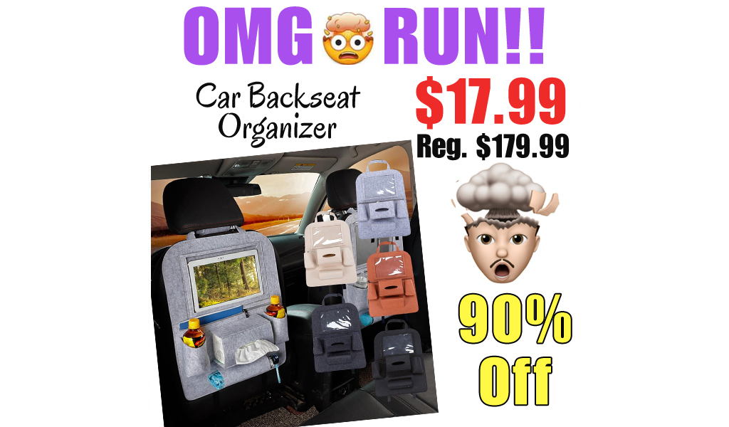 Car Backseat Organizer Only $17.99 Shipped on Amazon (Regularly $179.99)