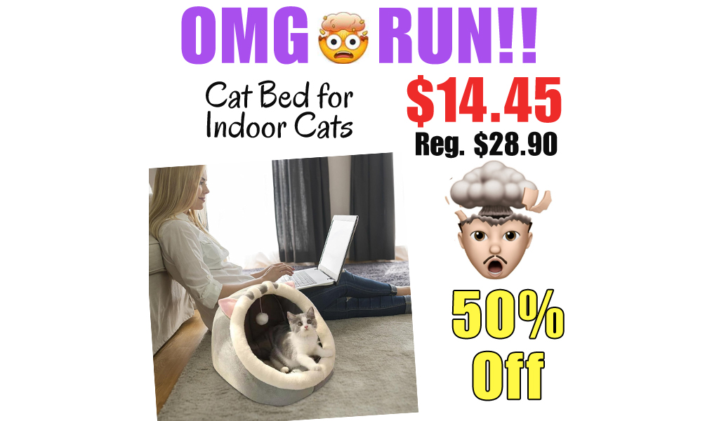 Cat Bed for Indoor Cats Only $14.45 Shipped on Amazon (Regularly $28.90)