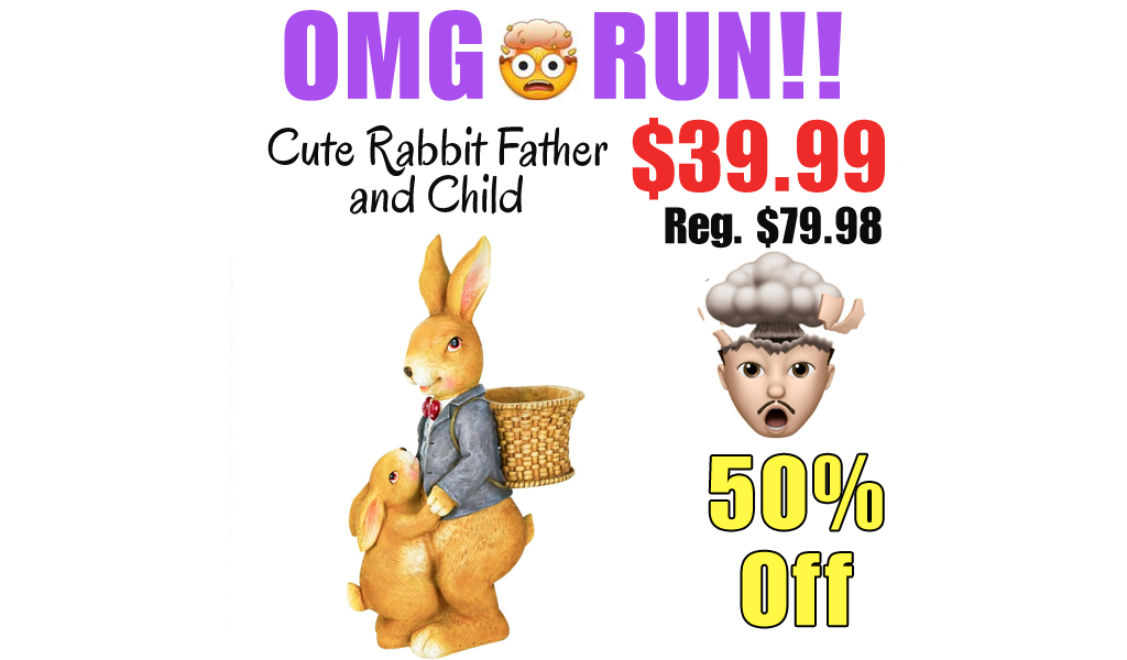 Cute Rabbit Father and Child Only $39.99 Shipped on Amazon (Regularly $79.98)
