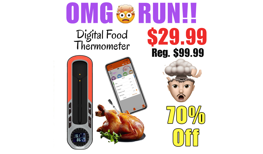 Digital Food Thermometer Only $29.99 Shipped on Amazon (Regularly $99.99)