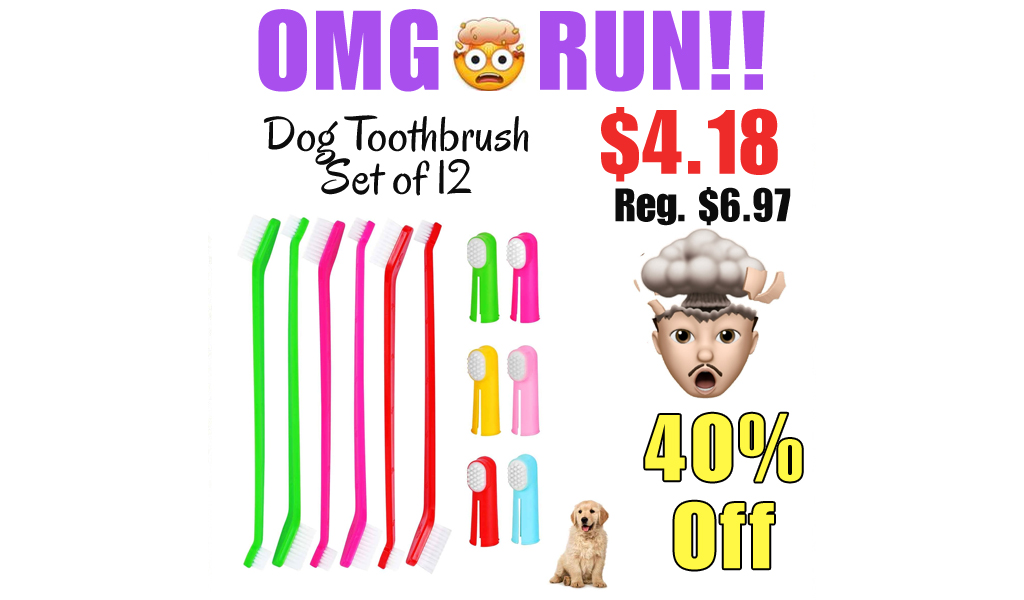 Dog Toothbrush Set of 12 Only $4.18 Shipped on Amazon (Regularly $6.97)