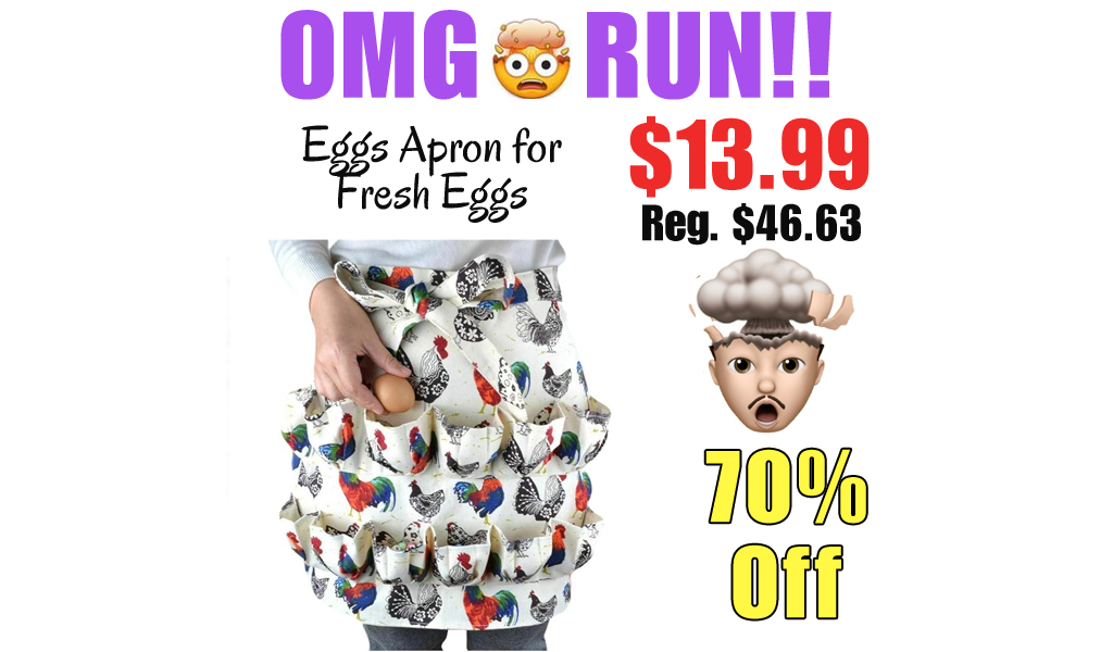 Eggs Apron for Fresh Eggs Only $13.99 Shipped on Amazon (Regularly $46.63)