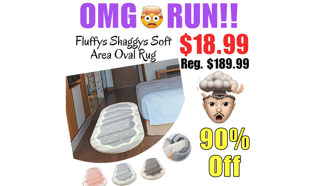 Fluffys Shaggys Soft Area Oval Rug Only $18.99 Shipped on Amazon (Regularly $189.99)