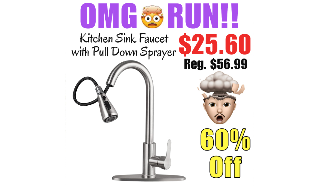 Kitchen Sink Faucet with Pull Down Sprayer Only $25.60 Shipped on Amazon (Regularly $56.99)