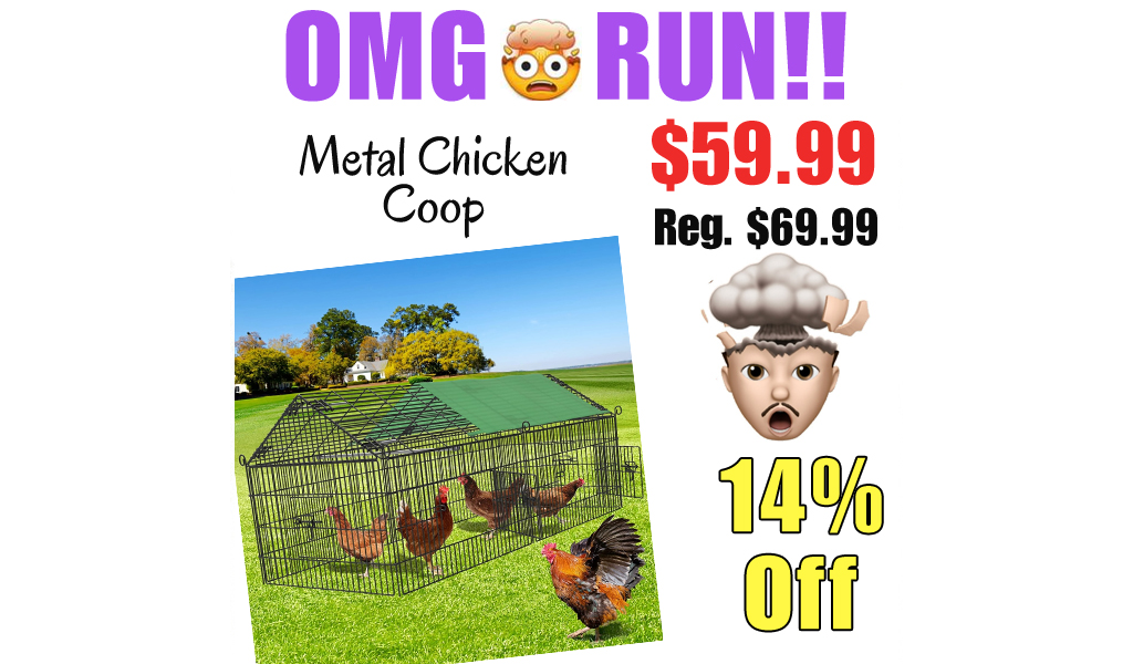 Metal Chicken Coop Only $59.99 Shipped on Amazon (Regularly $69.99)