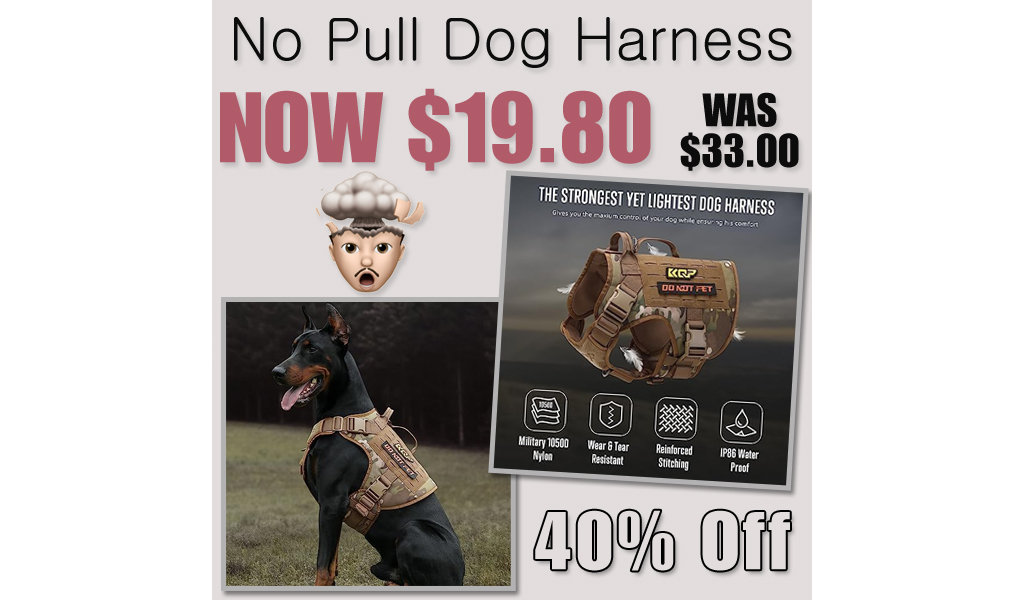 No Pull Dog Harness Only $19.80 Shipped on Amazon (Regularly $33.00)