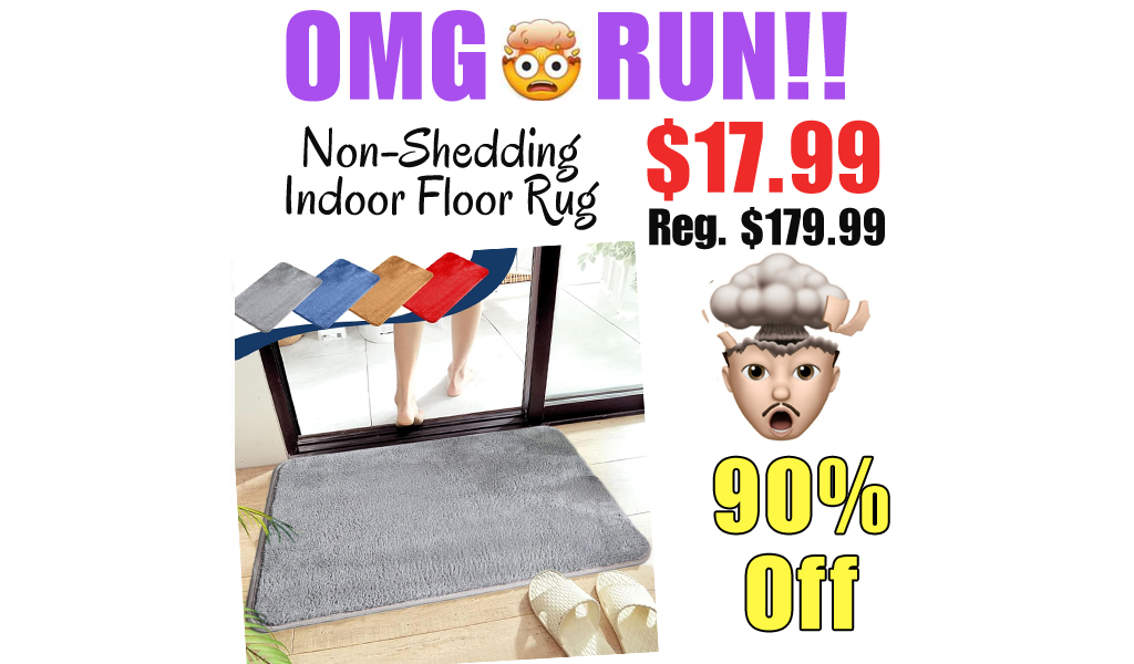 Non-Shedding Indoor Floor Rug Only $17.99 Shipped on Amazon (Regularly $179.99)