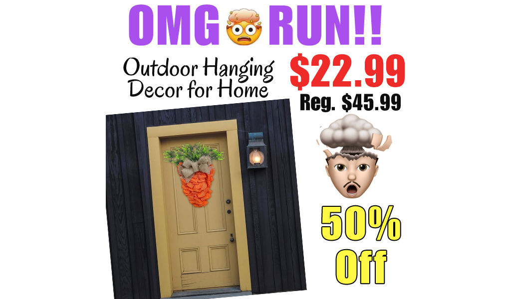 Outdoor Hanging Decor for Home Only $22.99 Shipped on Amazon (Regularly $45.99)