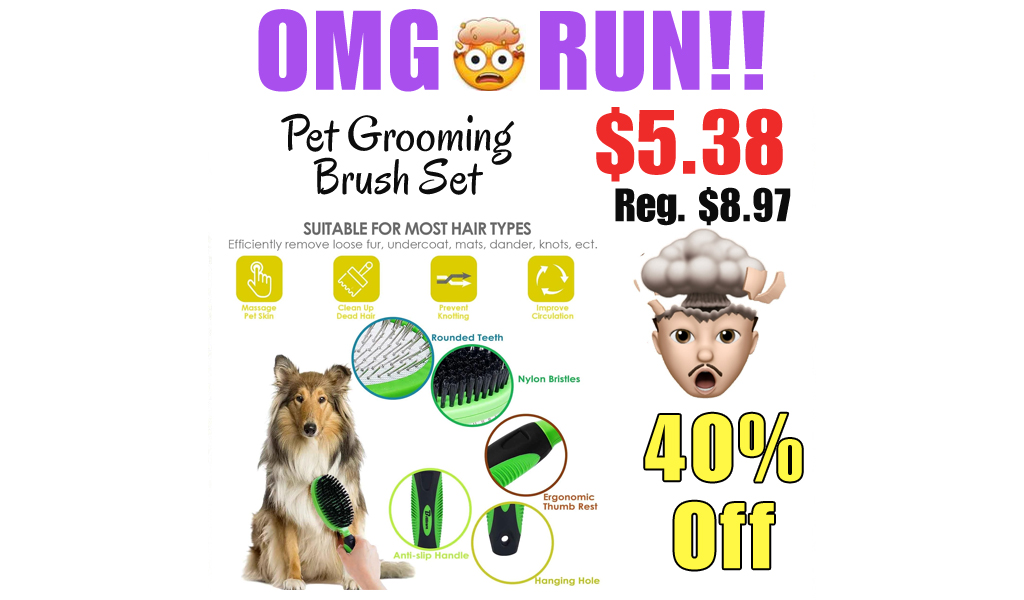 Pet Grooming Brush Set Only $5.38 Shipped on Amazon (Regularly $8.97)