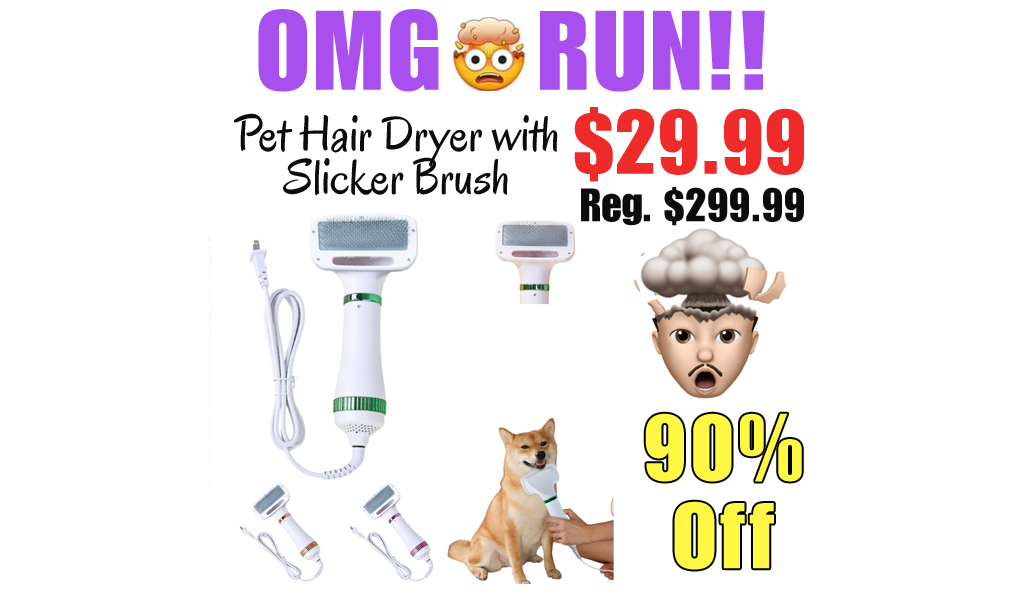 Pet Hair Dryer with Slicker Brush Only $29.99 Shipped on Amazon (Regularly $299.99)