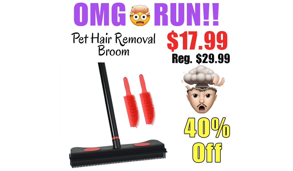 Pet Hair Removal Broom Only $17.99 Shipped on Amazon (Regularly $29.99)