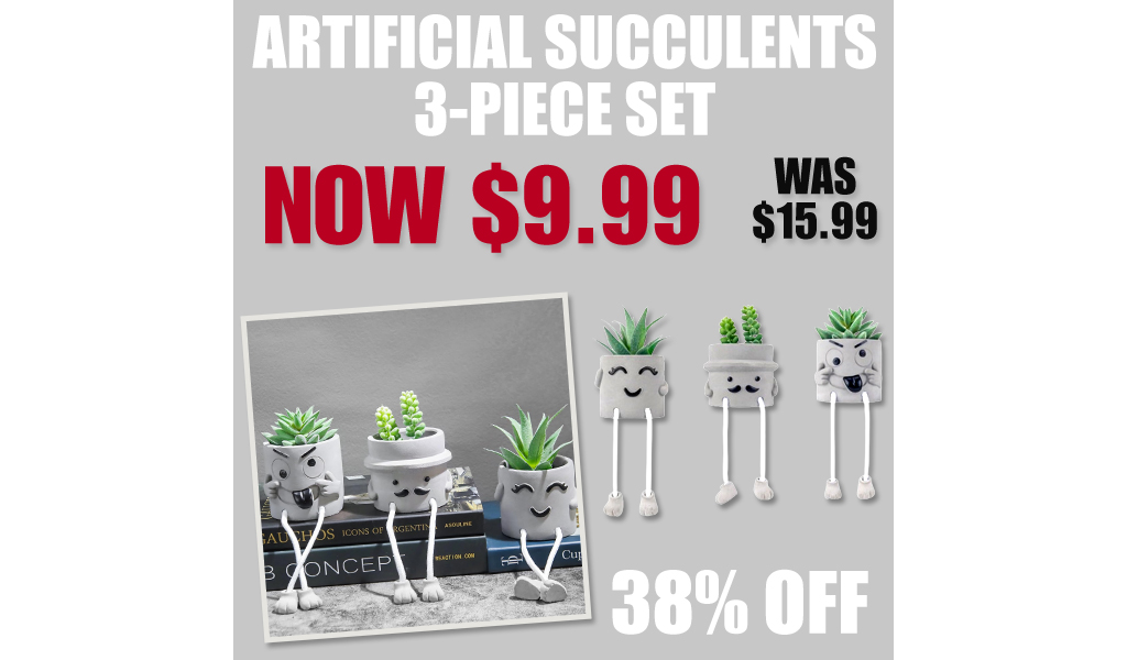 Artificial Succulents 3-Piece Set Only $9.99 on Amazon