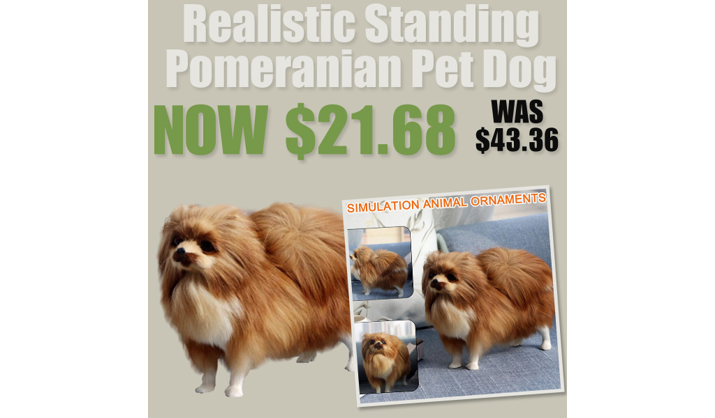 Realistic Standing Pomeranian Pet Dog Only $21.68 Shipped on Amazon (Regularly $43.36)