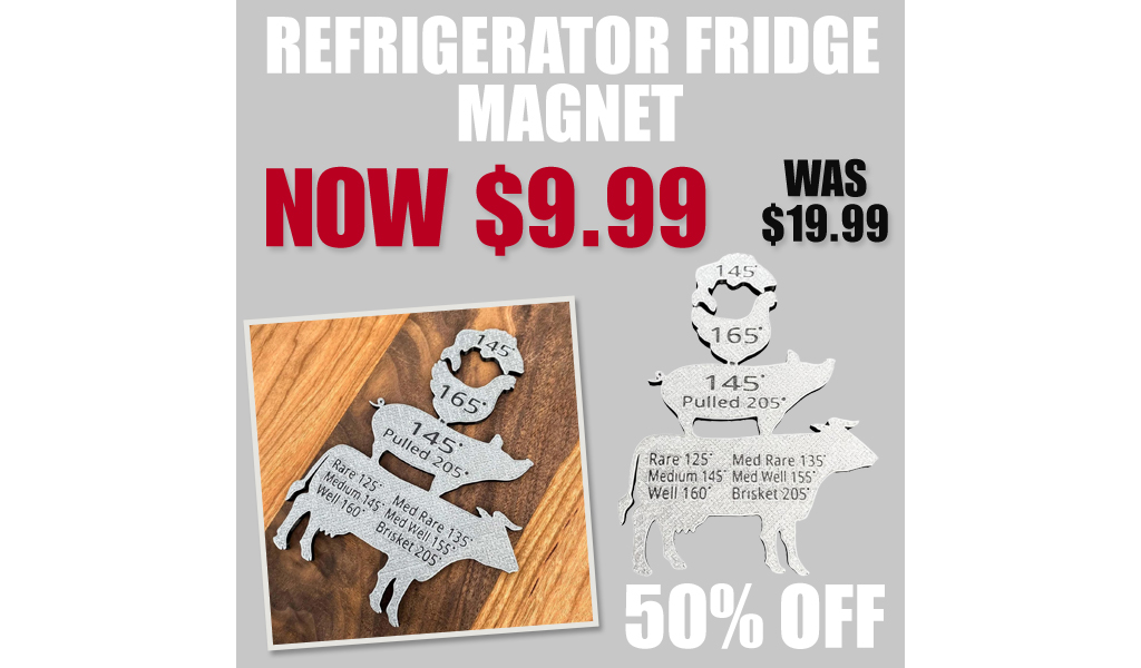 Refrigerator Fridge Magnet Only $9.99 Shipped on Amazon (Regularly $19.99)