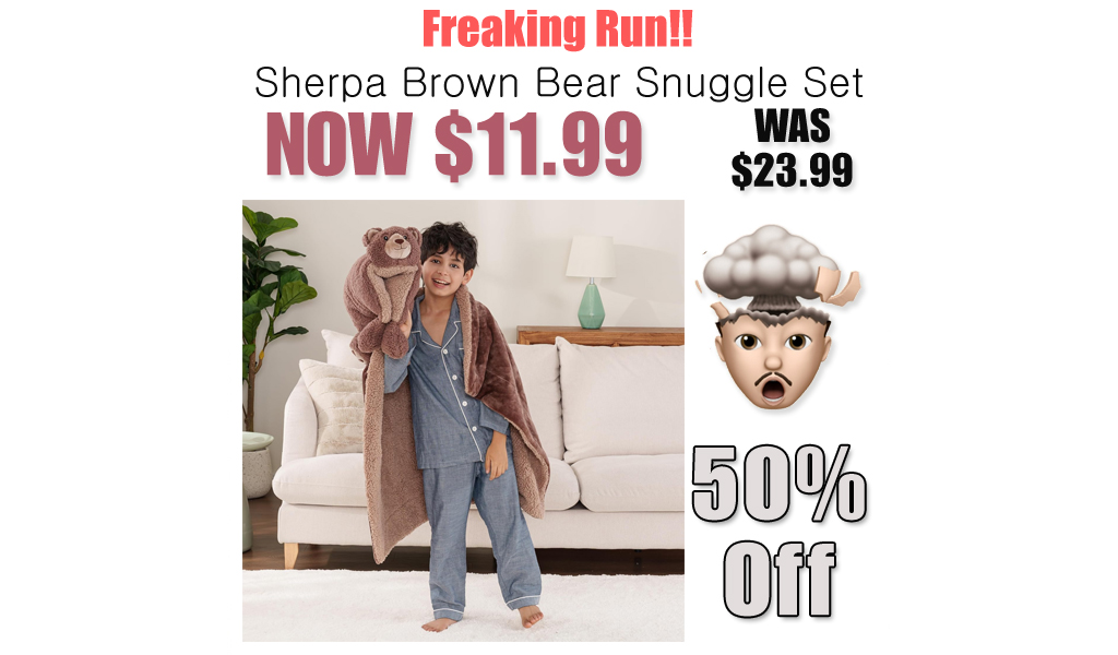 Sherpa Brown Bear Snuggle Set Only $11.99 Shipped on Amazon (Regularly $23.99)