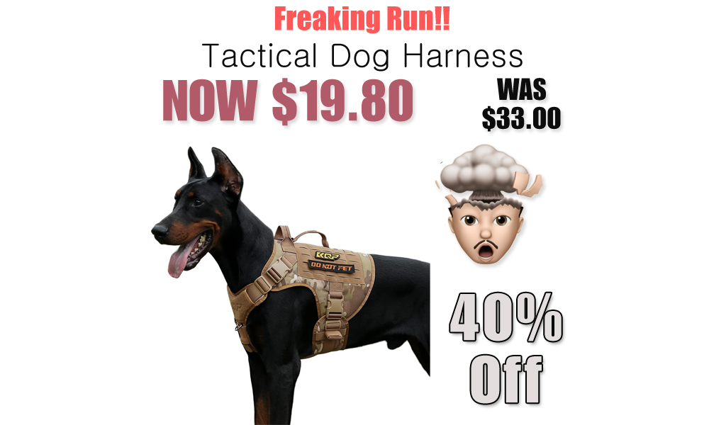 Tactical Dog Harness Only $19.80 Shipped on Amazon (Regularly $33)