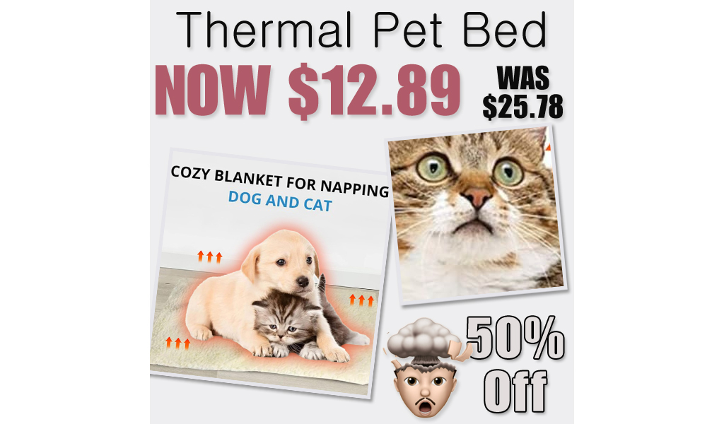 Thermal Pet Bed Only $12.89 Shipped on Amazon (Regularly $25.78)