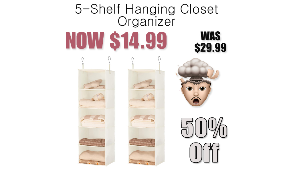 5-Shelf Hanging Closet Organizer Only $14.99 Shipped on Amazon (Regularly $29.99)