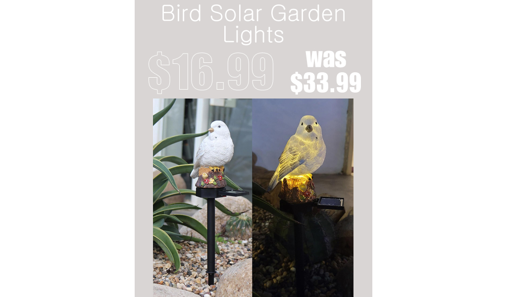 Bird Solar Garden Lights Only $16.99 Shipped on Amazon (Regularly $33.99)