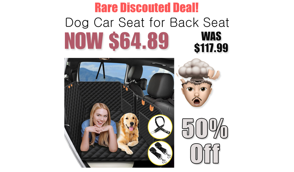Dog Car Seat for Back Seat Only $64.89 Shipped on Amazon (Regularly $117.99)