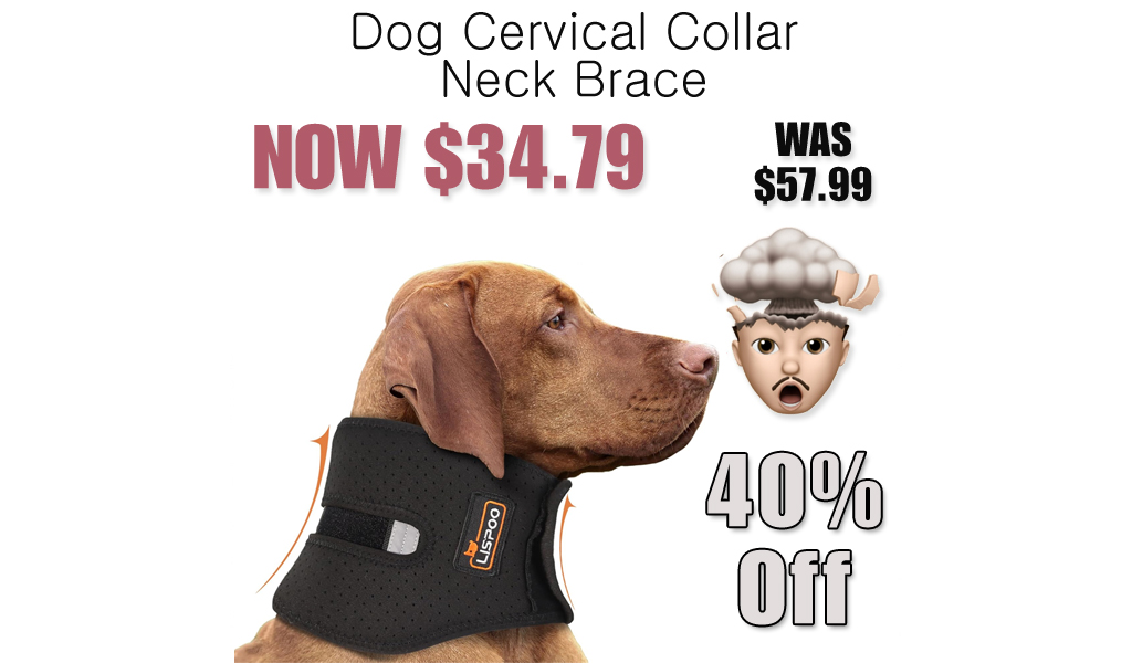 Dog Cervical Collar Neck Brace Only $34.79 Shipped on Amazon (Regularly $57.99)
