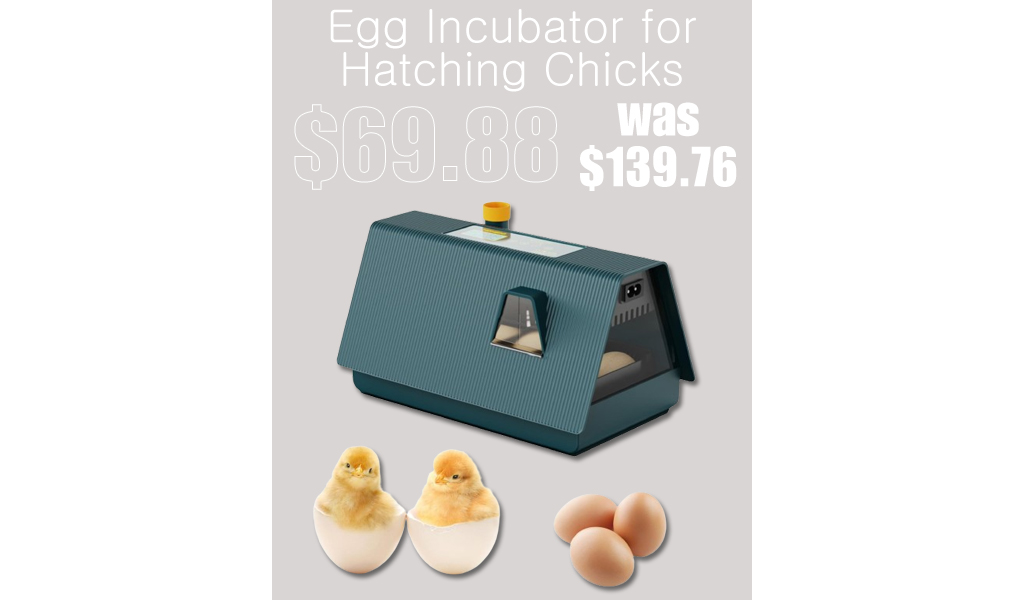 Egg Incubator for Hatching Chicks Only $8.99 Shipped on Amazon (Regularly $139.76)