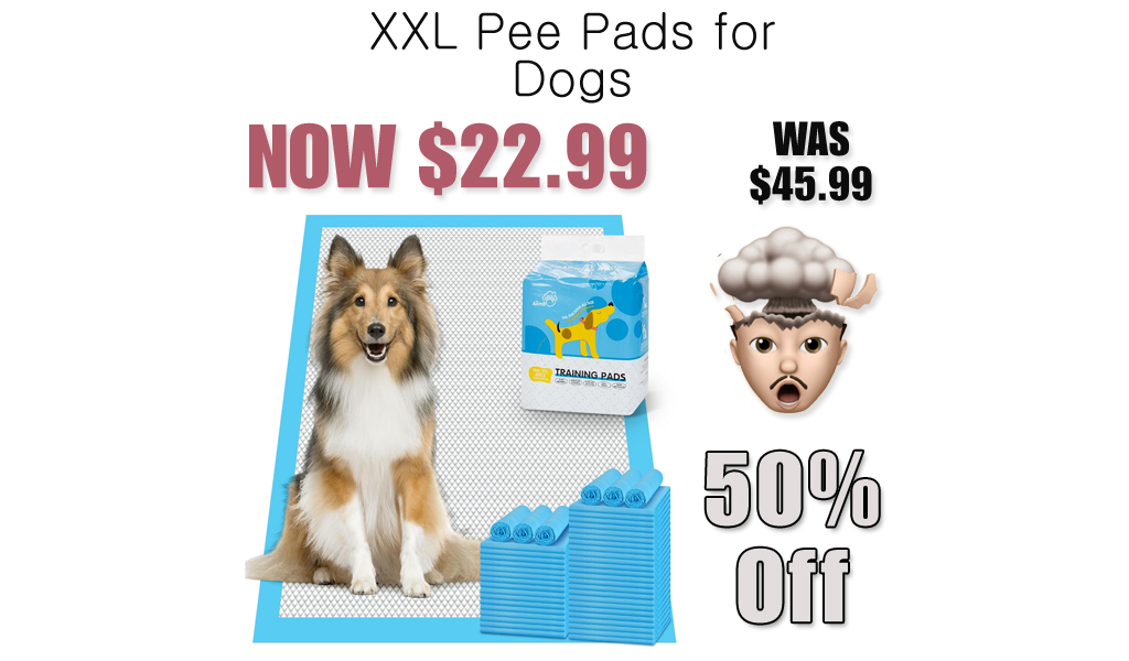 XXL Pee Pads for Dogs Only $22.99 Shipped on Amazon (Regularly $45.99)
