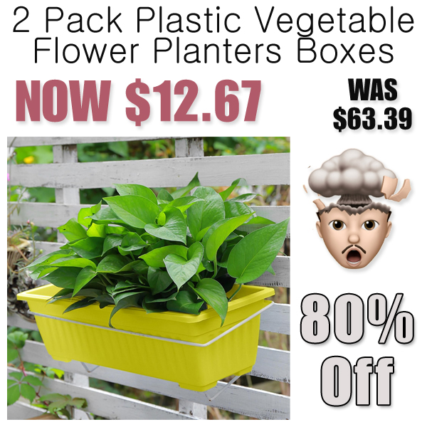 2 Pack Plastic Vegetable Flower Planters Boxes Only $12.67 Shipped on Amazon (Regularly $63.39)