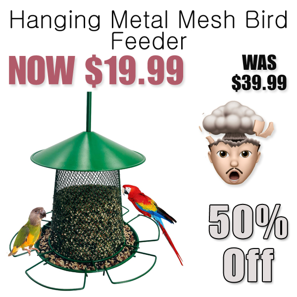 Hanging Metal Mesh Bird Feeder Only $19.99 Shipped on Amazon (Regularly $39.99)