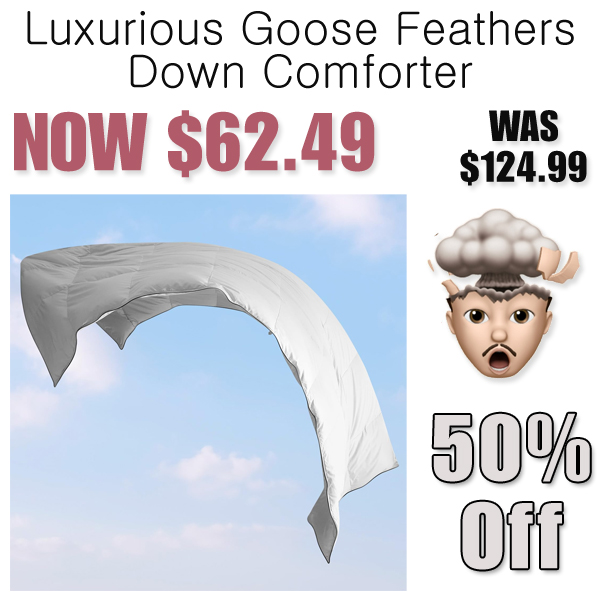Luxurious Goose Feathers Down Comforter Only $62.49 Shipped on Amazon (Regularly $124.99)