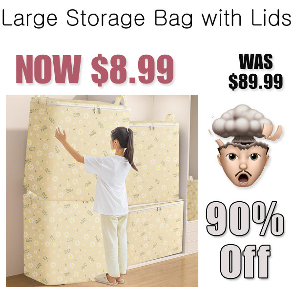 Large Storage Bag with Lids Only $8.99 Shipped on Amazon (Regularly $89.99)