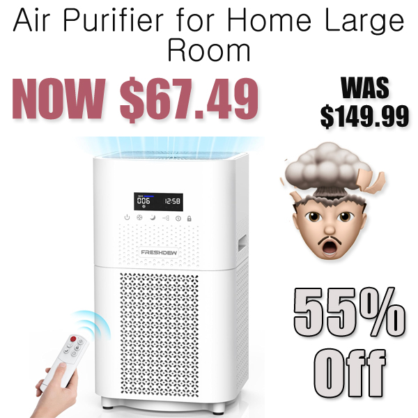 Air Purifier for Home Large Room Only $67.49 Shipped on Amazon (Regularly $149.99)