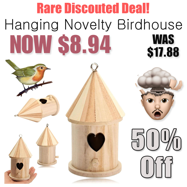 Hanging Novelty Birdhouse Only $8.94 Shipped on Amazon (Regularly $17.88)
