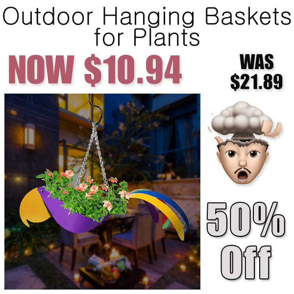 Outdoor Hanging Baskets for Plants Only $10.94 Shipped on Amazon (Regularly $21.89)