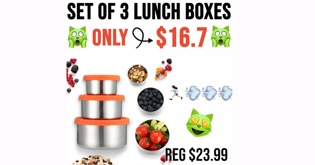 Set of 3 Lunch Boxes Only $16.79 Shipped on Amazon (Regularly $23.99)