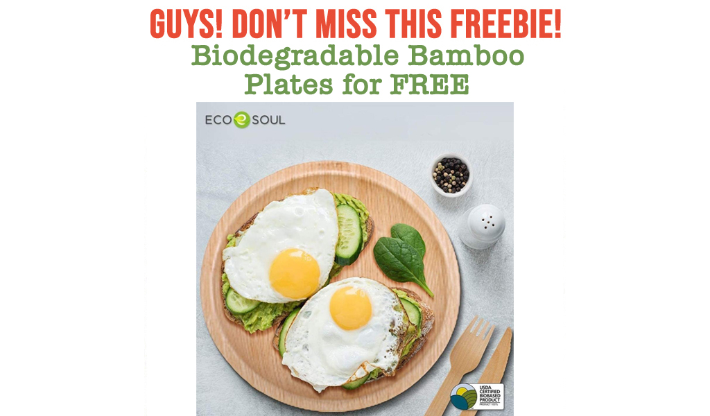 Biodegradable Bamboo Plates for FREE