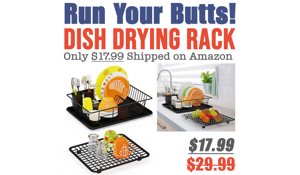 Dish Drying Rack Only $17.99 Shipped on Amazon (Regularly $29.99)