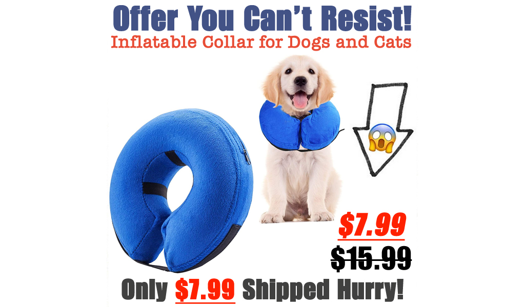 Inflatable Collar for Dogs and Cats Only $7.99 Shipped on Amazon (Regularly $15.99)
