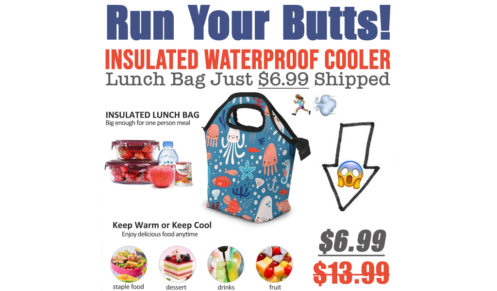 Insulated Waterproof Cooler Lunch Bag Just $6.99 Shipped on Amazon (Regularly $13.99)