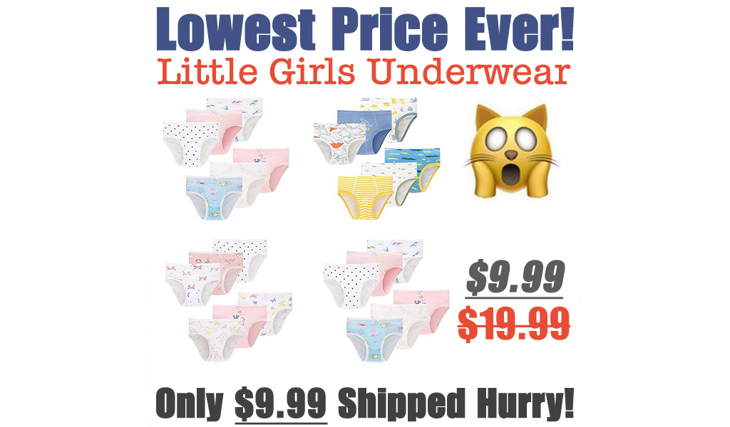 Little Girls Underwear Just $13.39 Shipped on Amazon (Regularly $19.99)