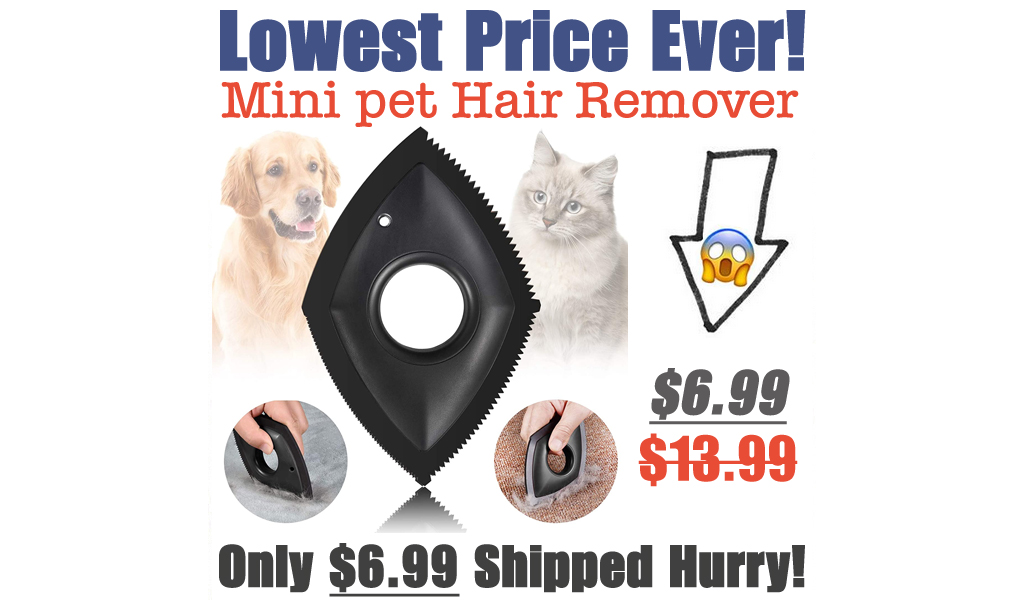 Mini pet Hair Remover Only $6.99 Shipped on Amazon (Regularly $13.99)