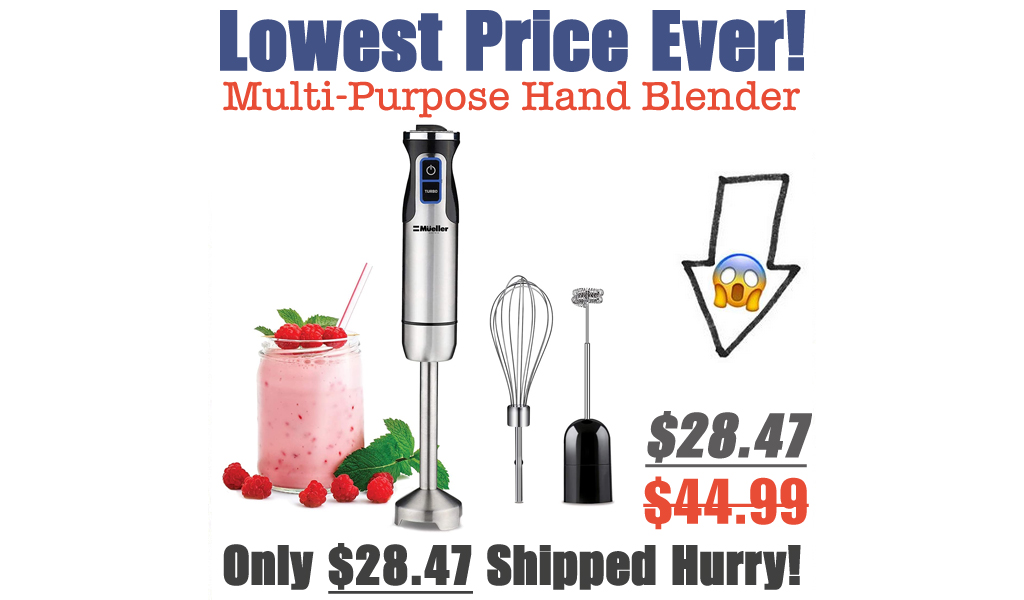 Multi-Purpose Hand Blender Only $28.47 Shipped on Amazon (Regularly $44.99)