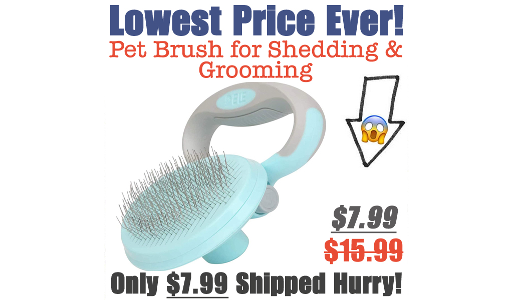 Pet Brush for Shedding & Grooming Only $7.99 Shipped on Amazon (Regularly $15.99)