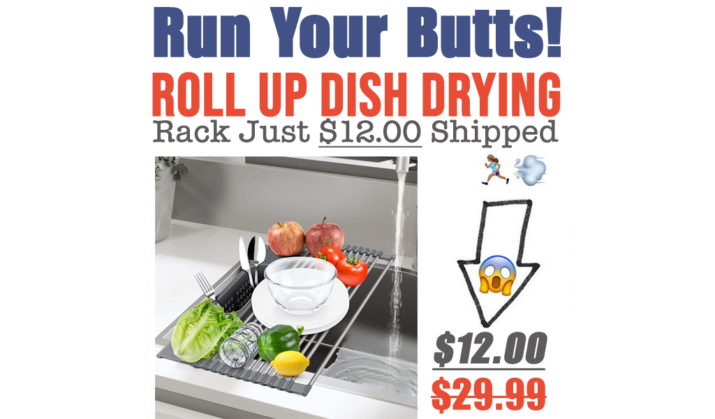 Roll Up Dish Drying Rack Just $12.00 Shipped on Amazon (Regularly $29.99)